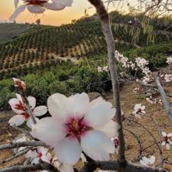 Meet your Posher, Kimberly - Picture 15 of 16